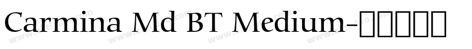 Carmina Md BT Medium字体转换